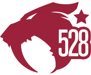 528 Custom Vapes Discount Coupon